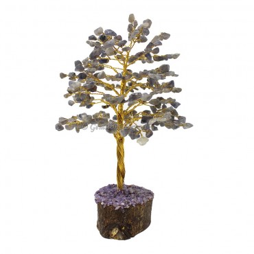 Iolite Golden Wire Tree(300 Chips)